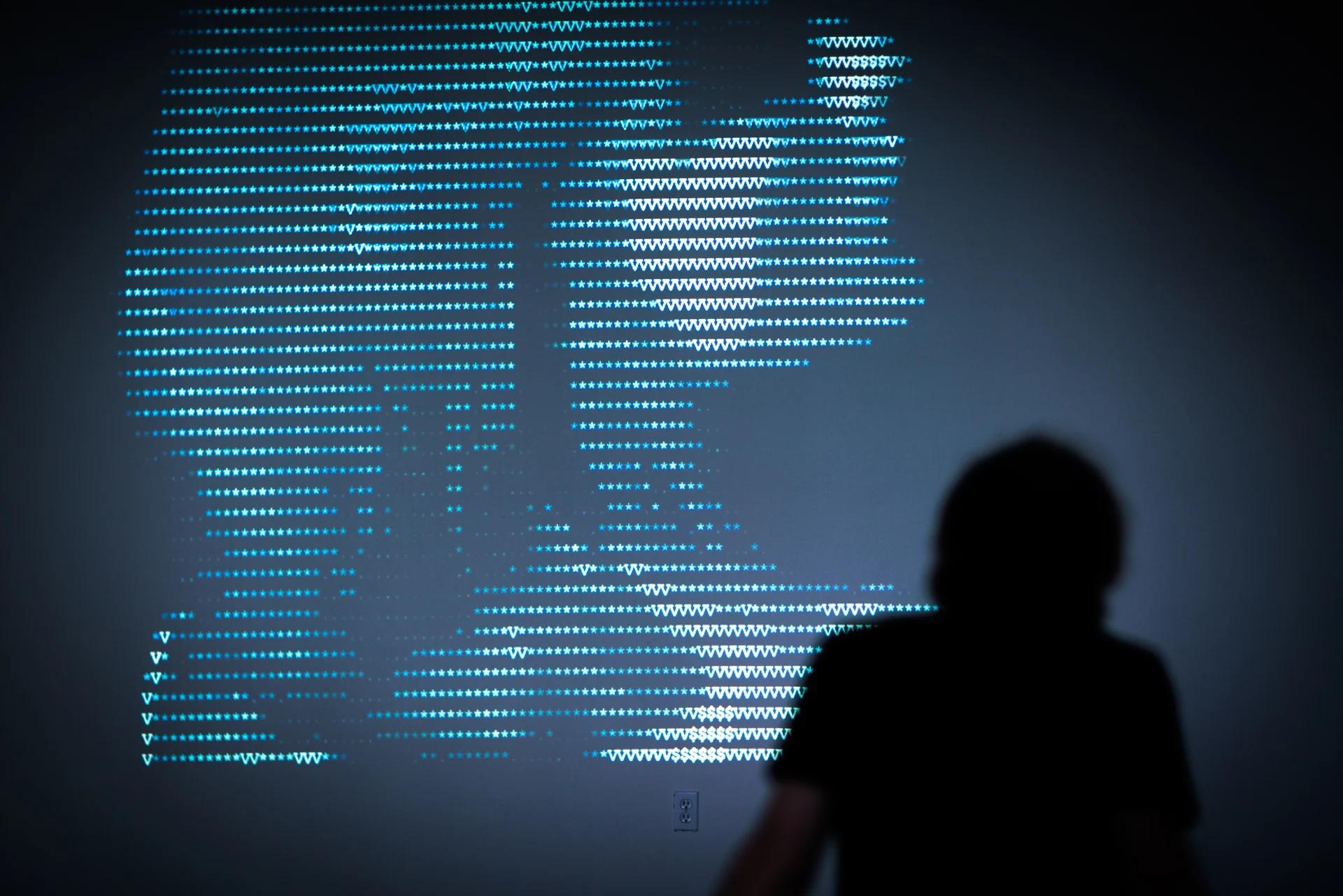 A visitor silhouetted against the projection.